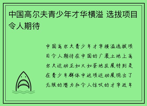 中国高尔夫青少年才华横溢 选拔项目令人期待