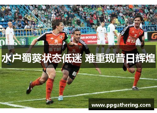 水户蜀葵状态低迷 难重现昔日辉煌